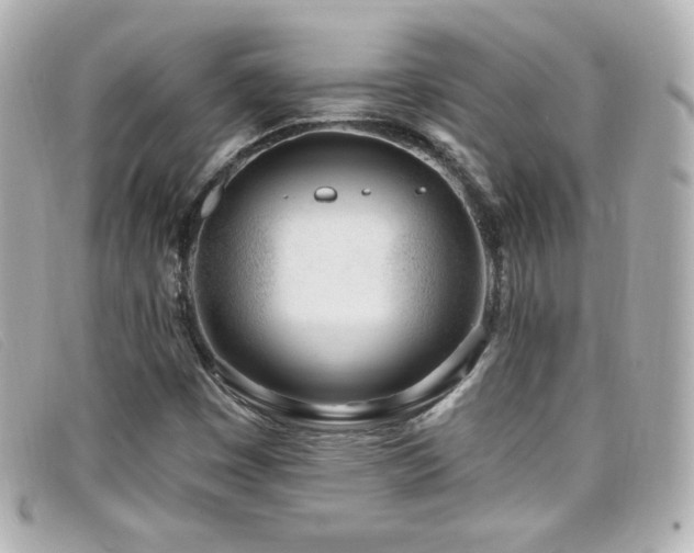 X0000099441449200805091302