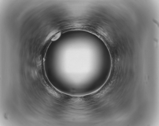X0000099441450200805091301