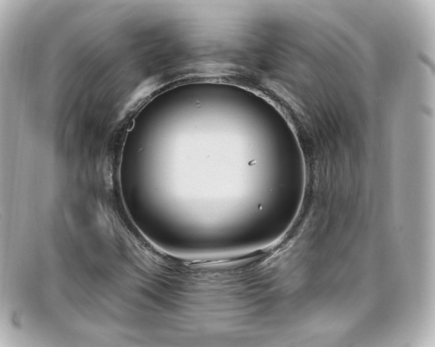 X0000099441451200805091301