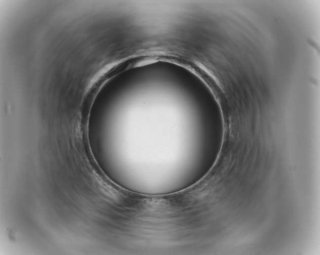 X0000099441452200805091301