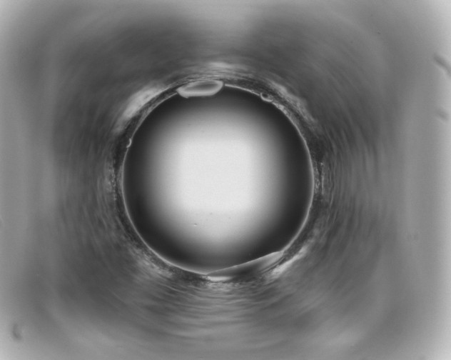 X0000099441453200805091301