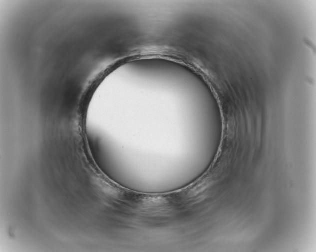 X0000099441454200805091301