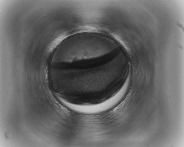X0000099441455200805091301