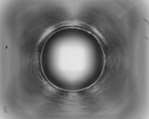 X0000099441456200805091301