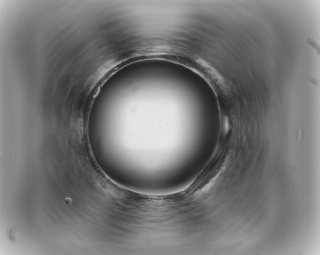 X0000099441457200805091301