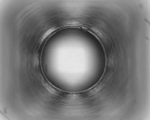 X0000099441458200805091301