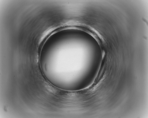 X0000099441461200805091301