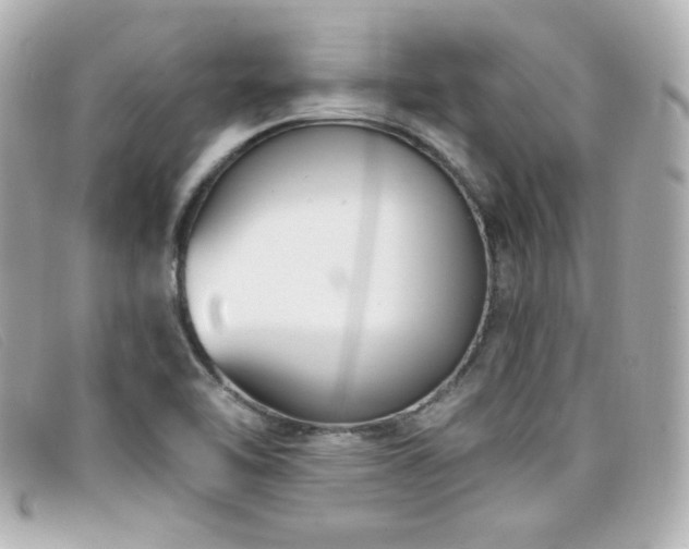 X0000099441462200805091301