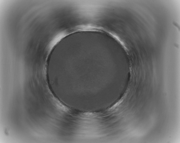 X0000099441463200805091301