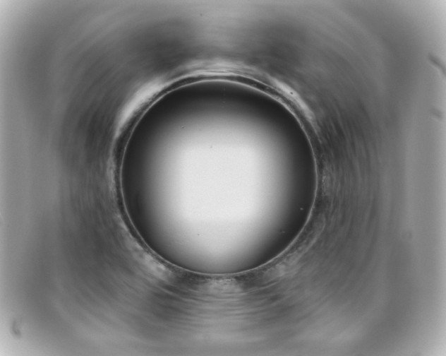 X0000099441464200805091301