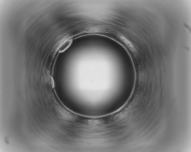 X0000099441465200805091301