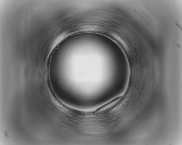 X0000099441467200805091301
