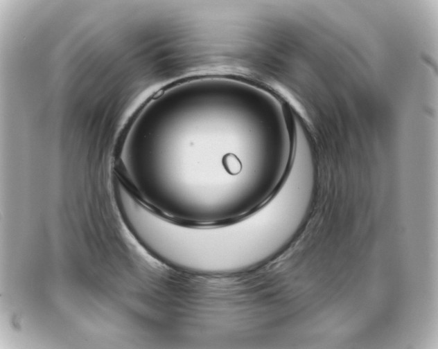 X0000099441468200805091301