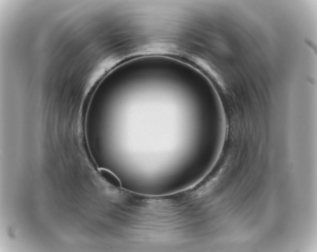 X0000099441469200805091301