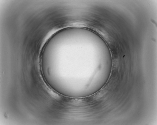 X0000099441470200805091301