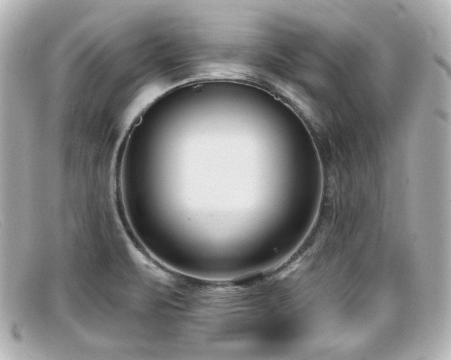 X0000099441471200805091301