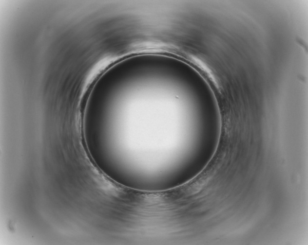 X0000099441472200805091301