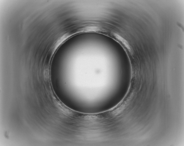 X0000099441473200805091301