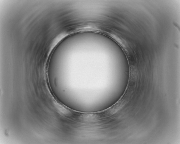X0000099441474200805091301