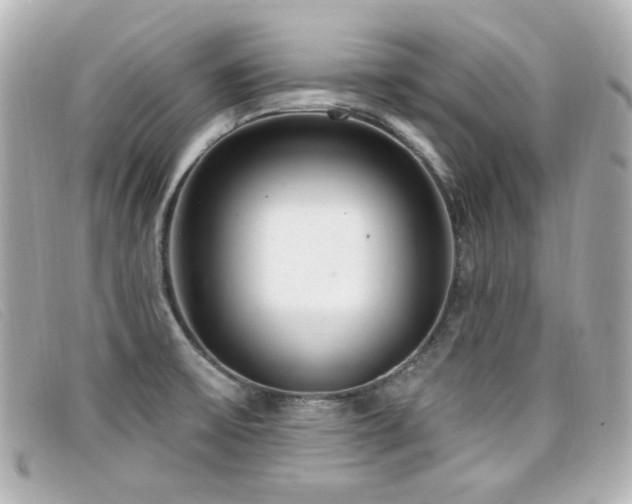 X0000099441475200805091301