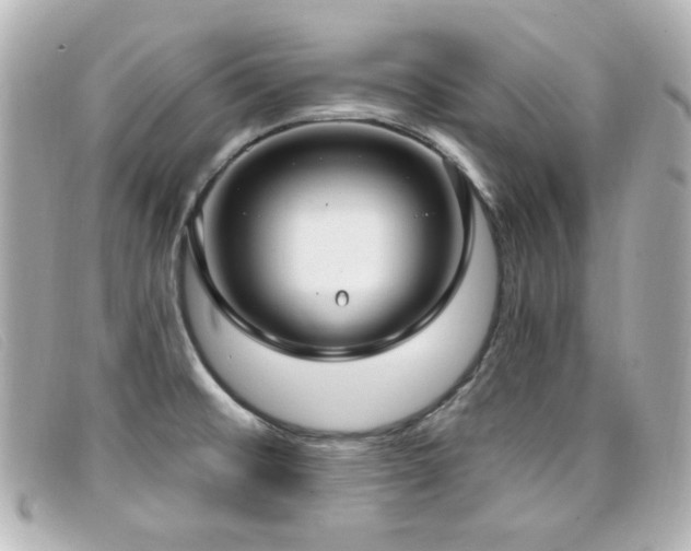 X0000099441476200805091301