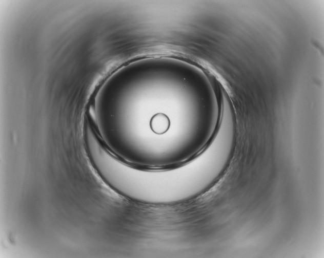 X0000099441477200805091301