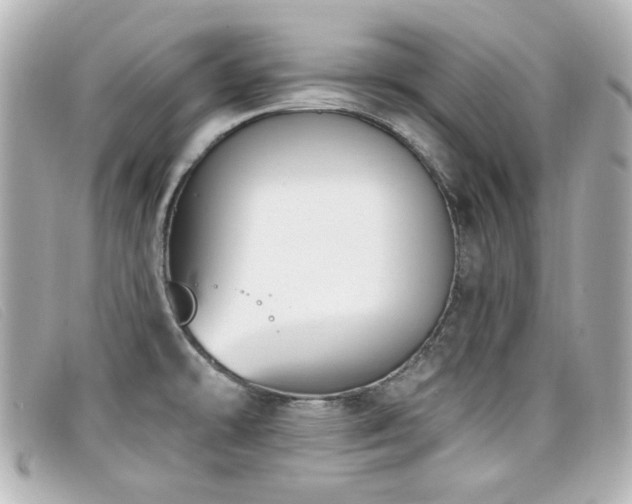 X0000099441478200805091301