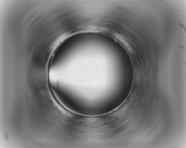 X0000099441479200805091301