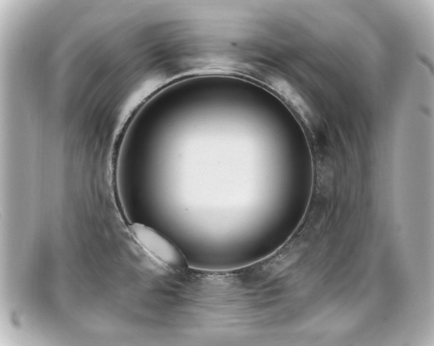 X0000099441480200805091301