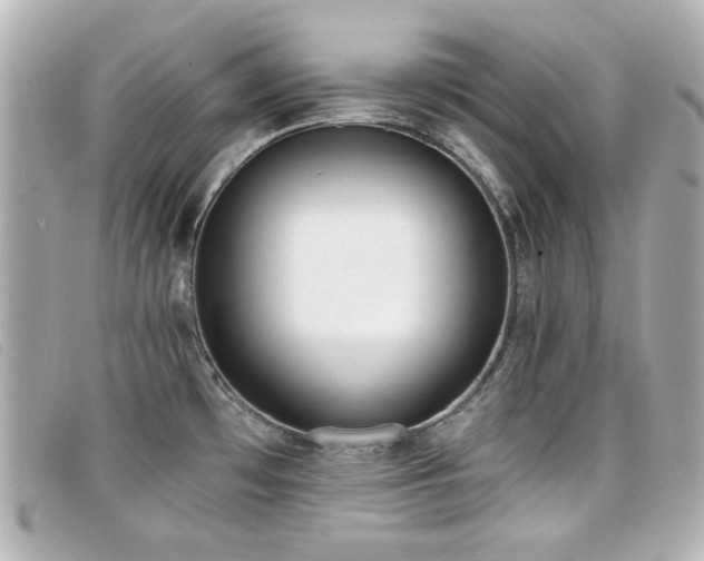 X0000099441481200805091301