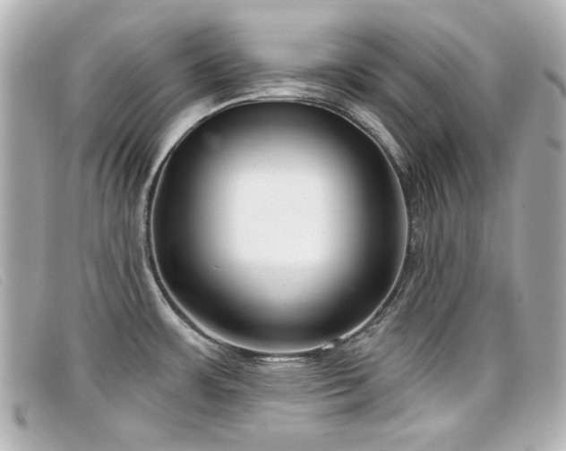 X0000099441483200805091301