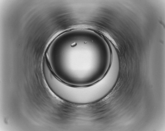 X0000099441484200805091301