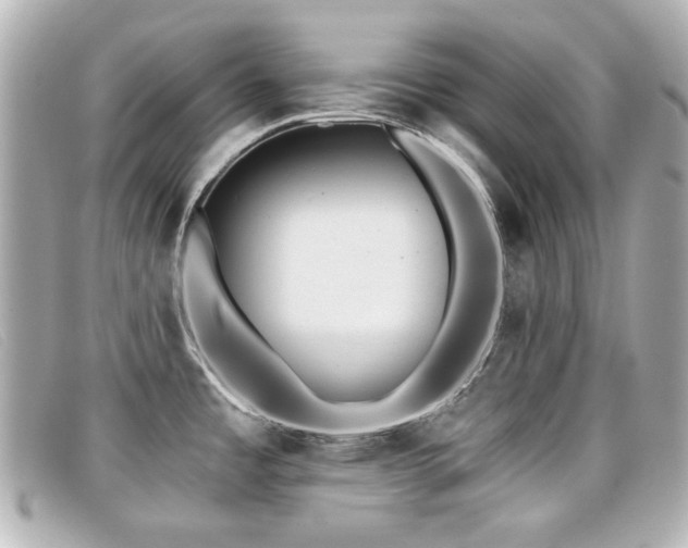 X0000099441485200805091301
