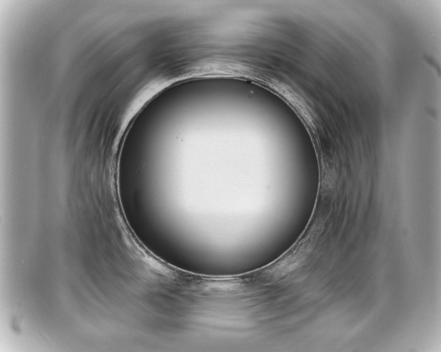 X0000099441486200805091301