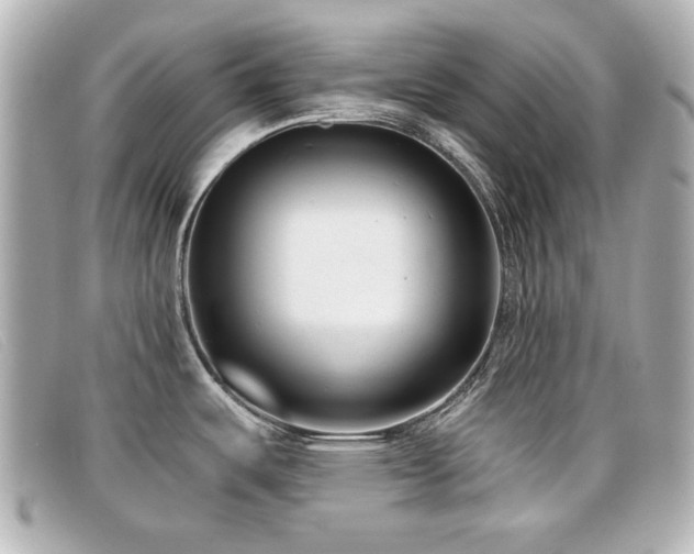 X0000099441487200805091301