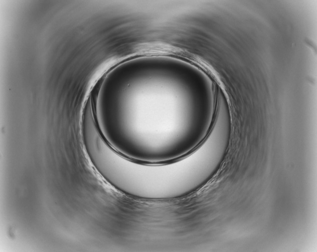 X0000099441488200805091301