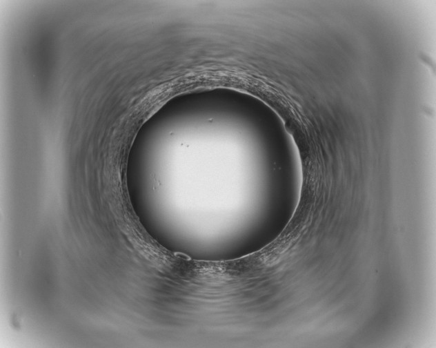 X0000099441489200805091300