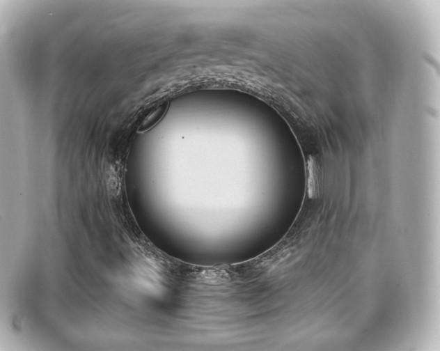 X0000099441491200805091300