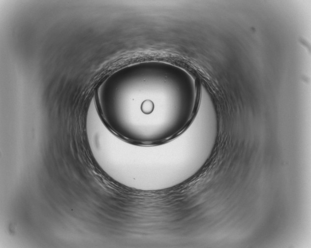 X0000099441492200805091300
