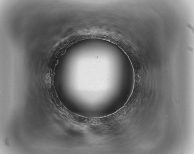 X0000099441493200805091300