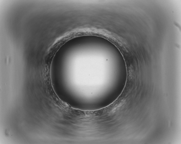 X0000099441494200805091300