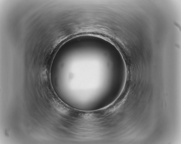 X0000099441497200805091300