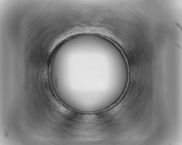 X0000099441498200805091300