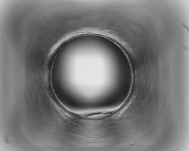 X0000099441502200805091300