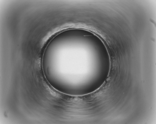 X0000099441503200805091300