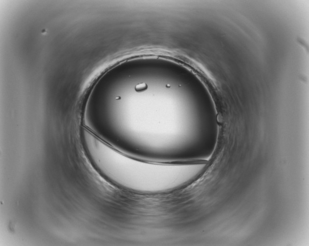 X0000099441504200805091300