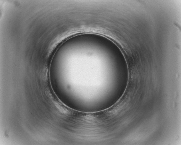 X0000099441507200805091300