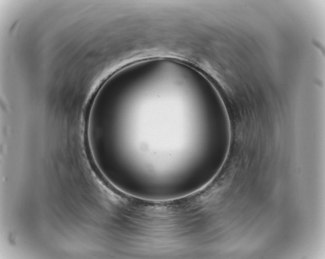 X0000099441508200805091300