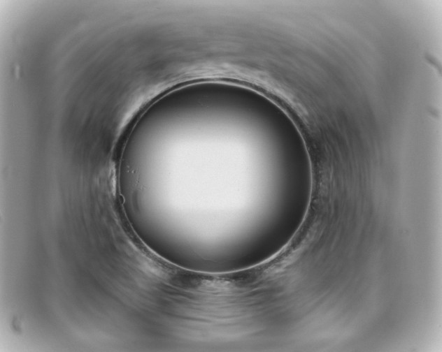 X0000099441509200805091300