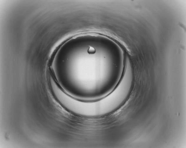 X0000099441510200805091300